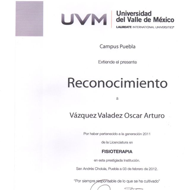 Ampliar imagen: certificate 7