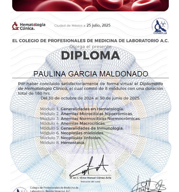 Ampliar imagen: certificate 3
