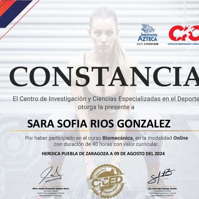 Ampliar imagen: certificate 3