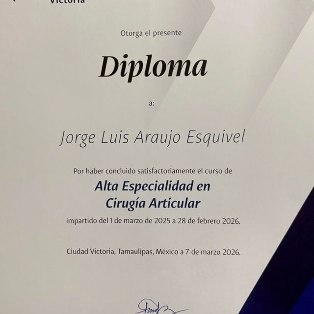 Ampliar imagen: certificate 7