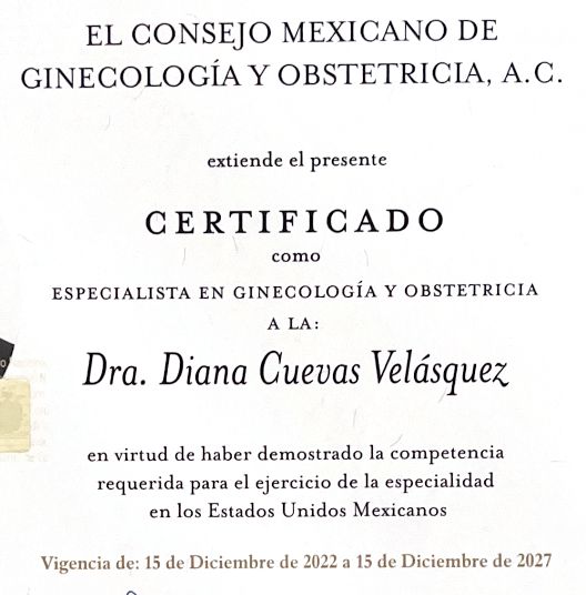 Ampliar imagen: certificate 1
