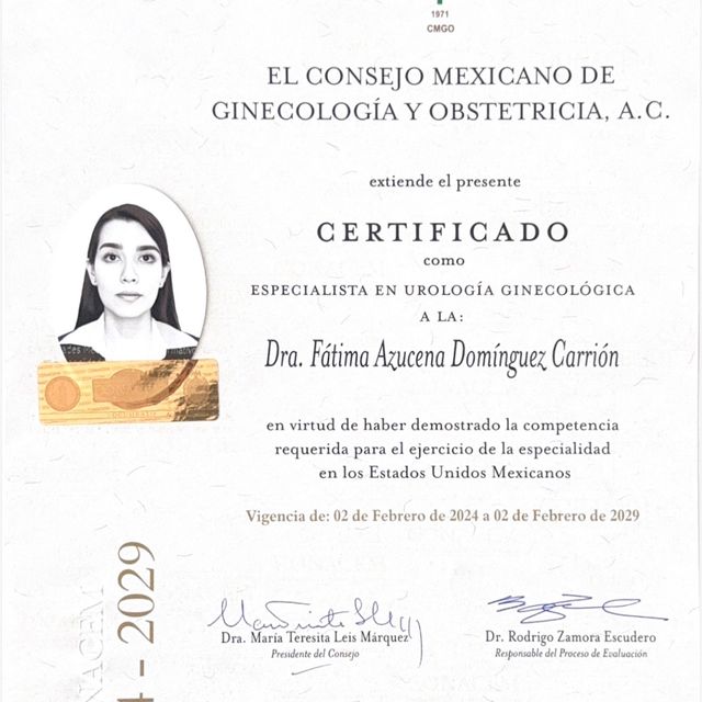 Ampliar imagen: certificate 5