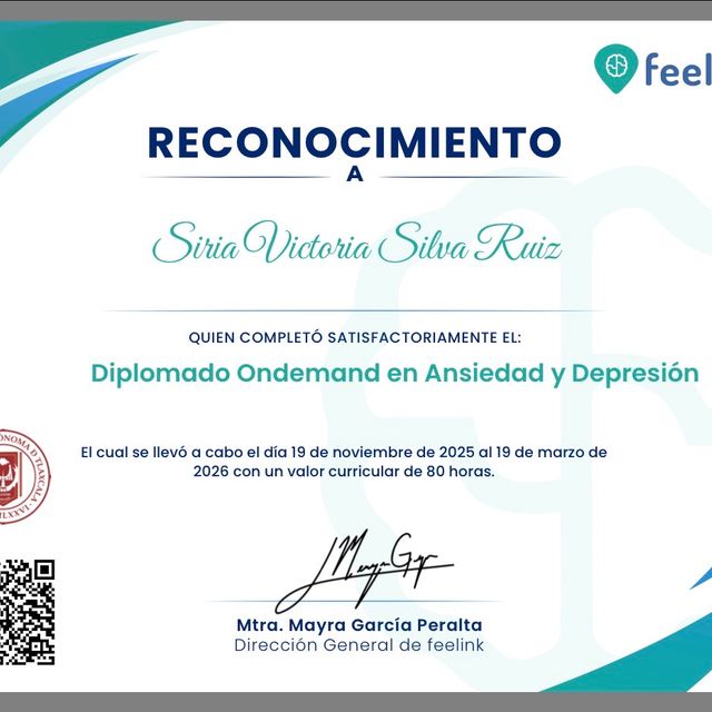 Ampliar imagen: certificate 9