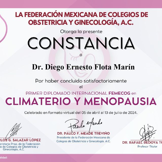Ampliar imagen: certificate 3