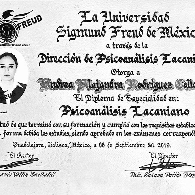 Ampliar imagen: certificate 2