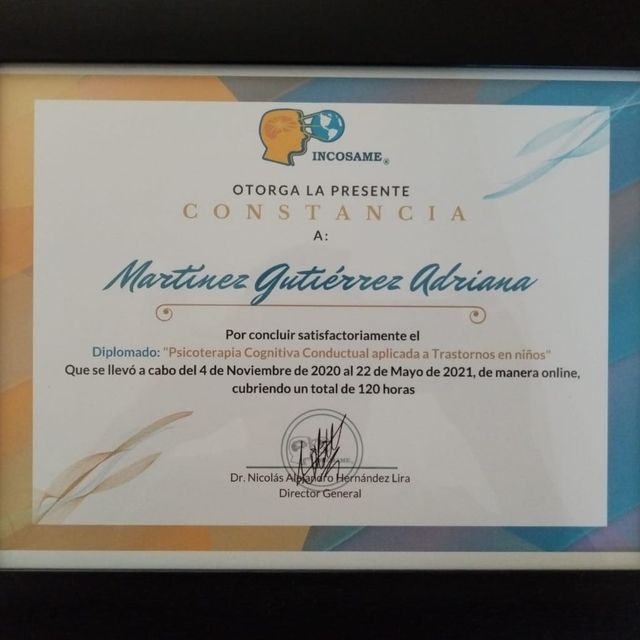 Ampliar imagen: certificate 6