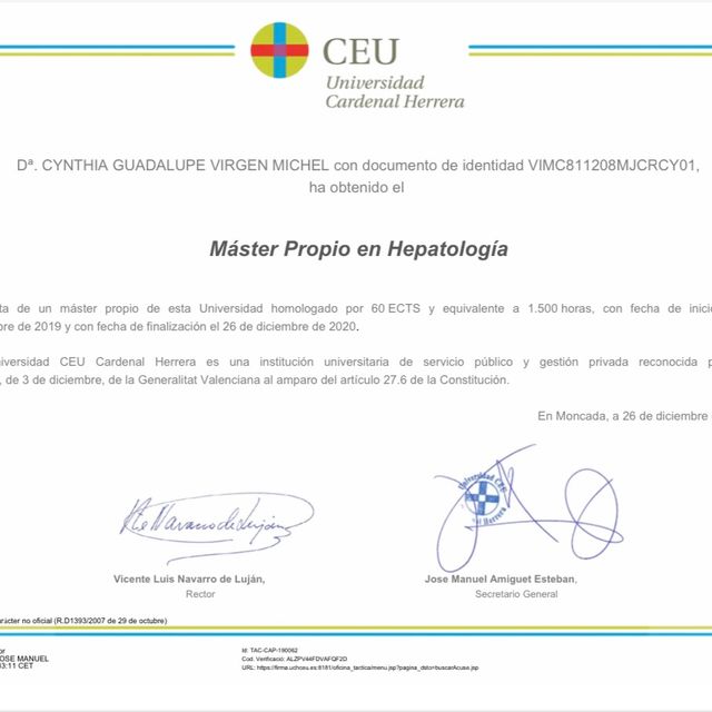 Ampliar imagen: certificate 1