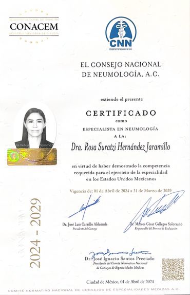 Ampliar imagen: certificate 3