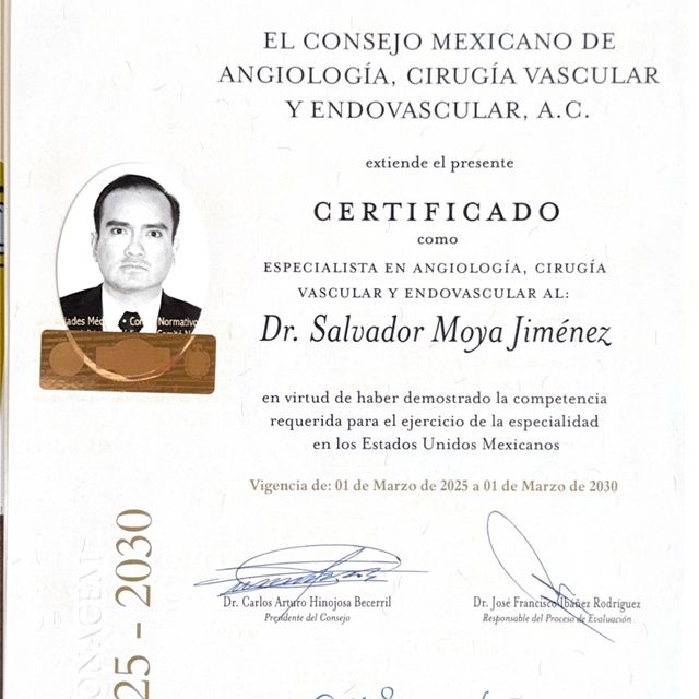 Ampliar imagen: certificate 1