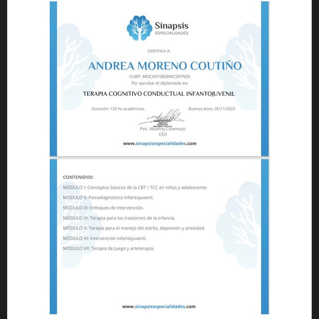 Ampliar imagen: certificate 12