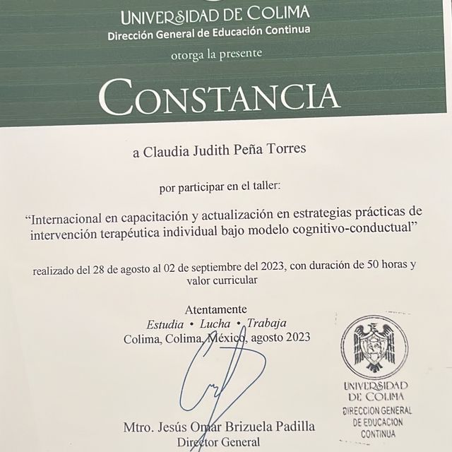 Ampliar imagen: certificate 3