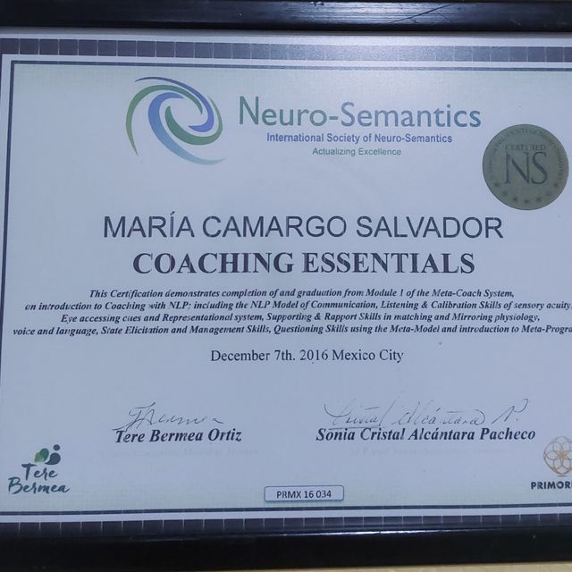 Ampliar imagen: certificate 3