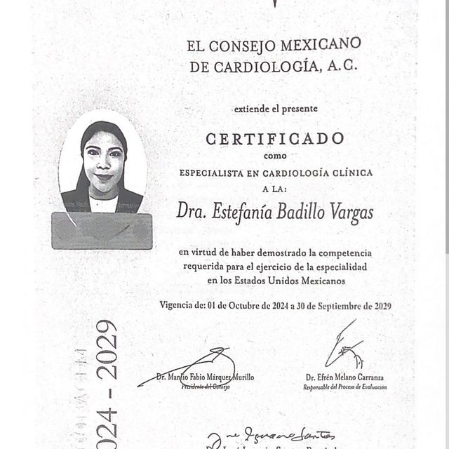 Ampliar imagen: certificate 1