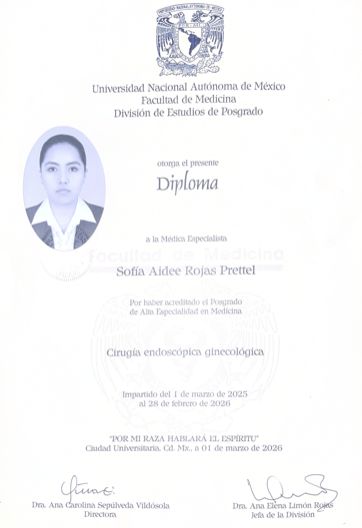 Ampliar imagen: certificate 4