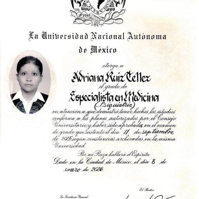 Ampliar imagen: certificate 1