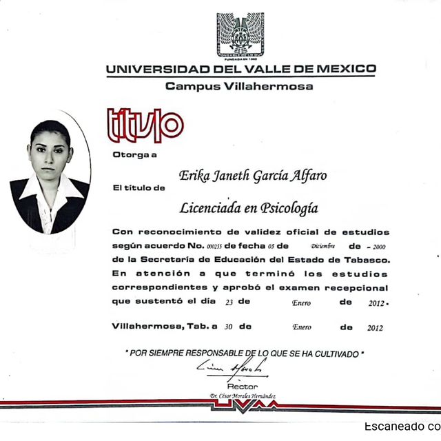 Ampliar imagen: certificate 1