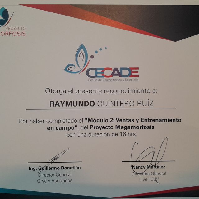 Ampliar imagen: certificate 6