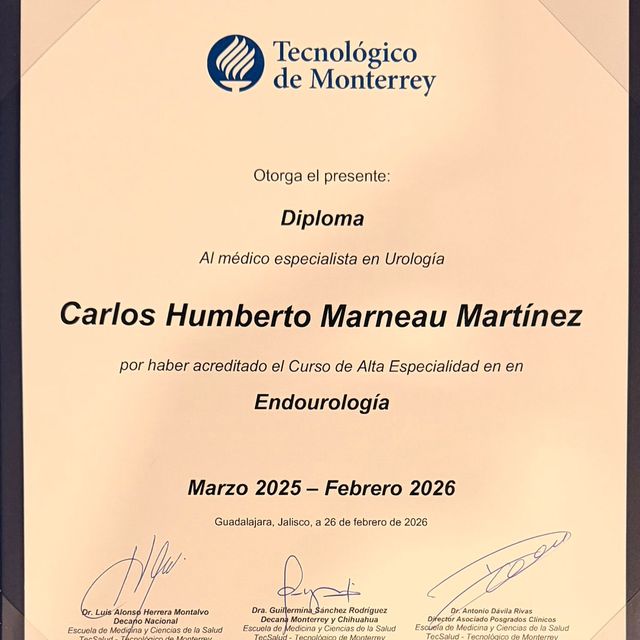 Ampliar imagen: certificate 6