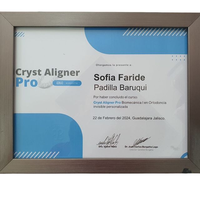 Ampliar imagen: certificate 3