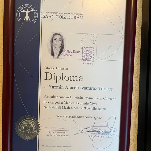 Ampliar imagen: certificate 11