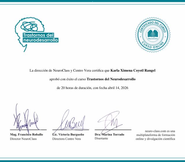 Ampliar imagen: certificate 3