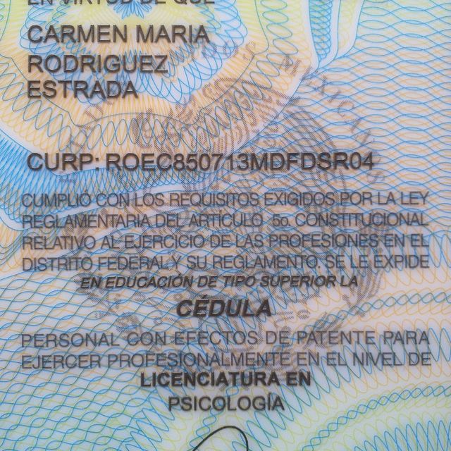 Ampliar imagen: certificate 2