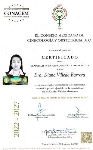 Ampliar imagen: certificate 1