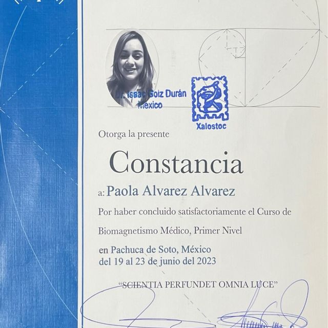 Ampliar imagen: certificate 3