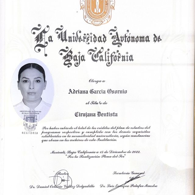 Ampliar imagen: certificate 1