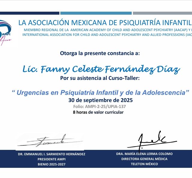 Ampliar imagen: certificate 1