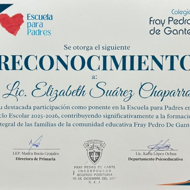 Ampliar imagen: certificate 1