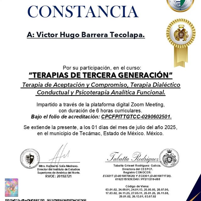 Ampliar imagen: certificate 43