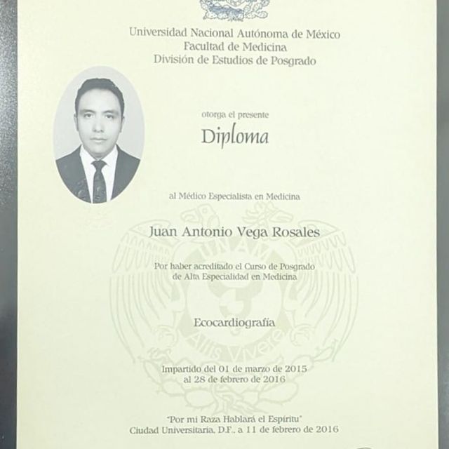 Ampliar imagen: certificate 5