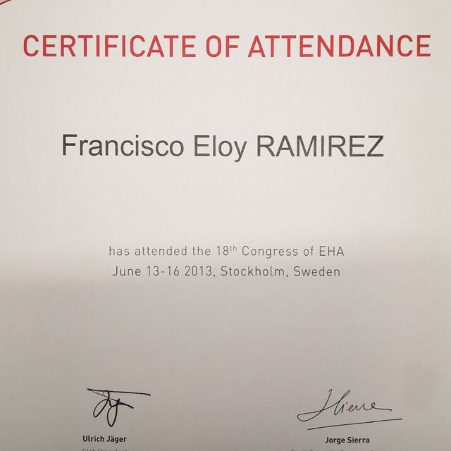 Ampliar imagen: certificate 9