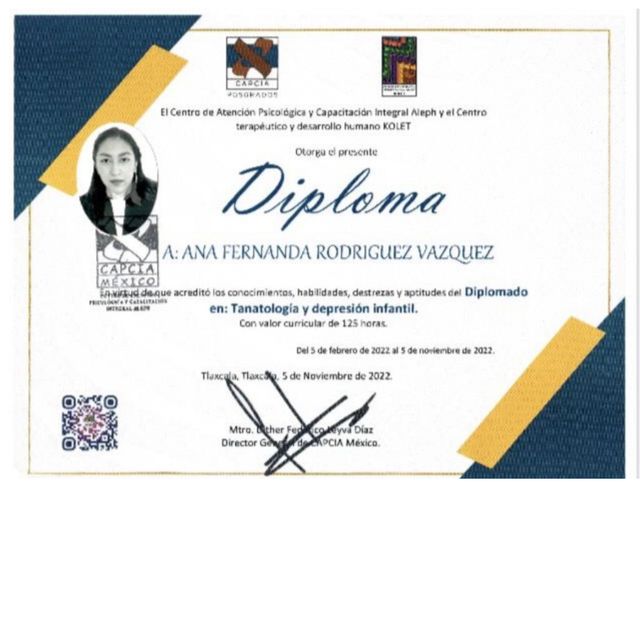 Ampliar imagen: certificate 2