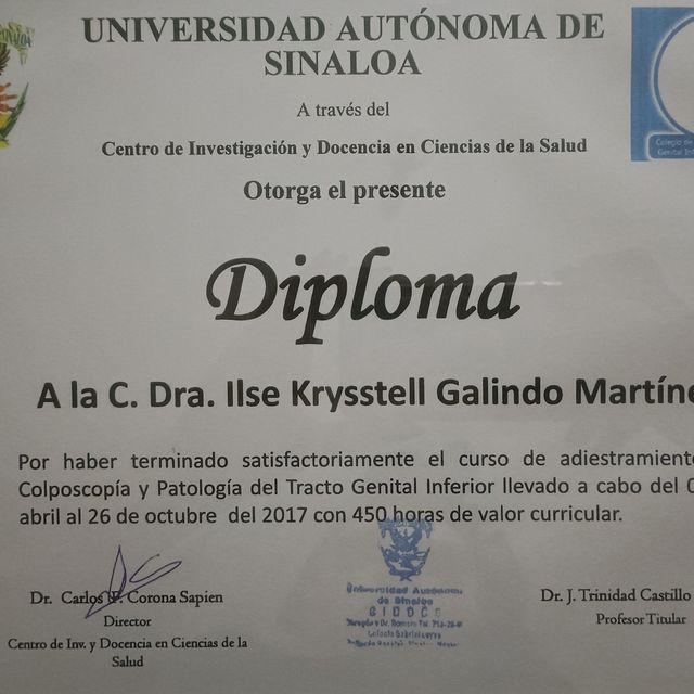 Ampliar imagen: certificate 2