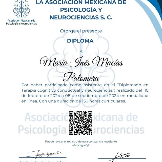 Ampliar imagen: certificate 2