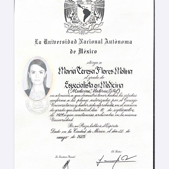 Ampliar imagen: certificate 1
