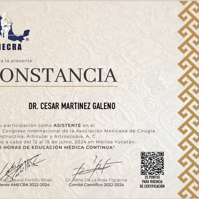 Ampliar imagen: certificate 10