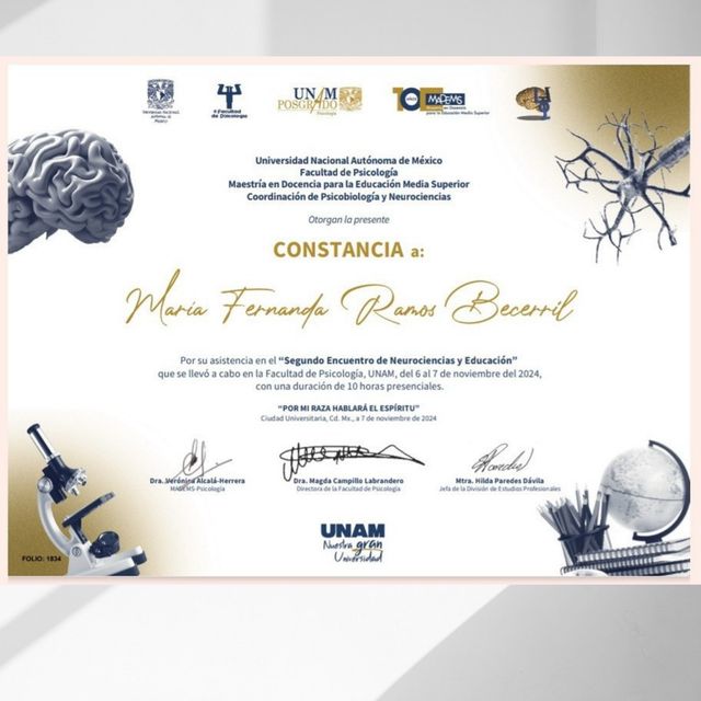 Ampliar imagen: certificate 2