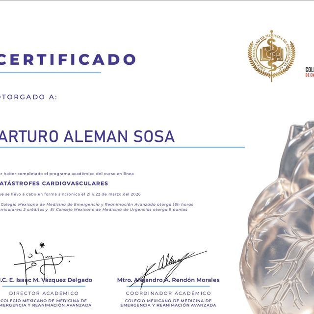 Ampliar imagen: certificate 15