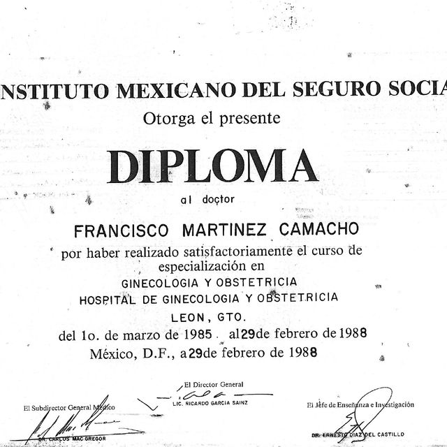 Ampliar imagen: certificate 1