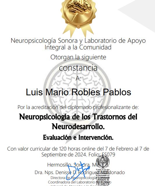 Ampliar imagen: certificate 2