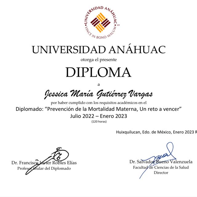 Ampliar imagen: certificate 6