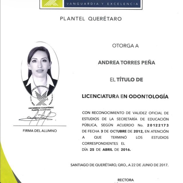 Ampliar imagen: certificate 2