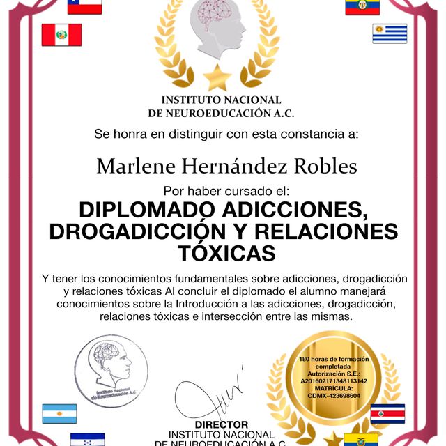 Ampliar imagen: certificate 2