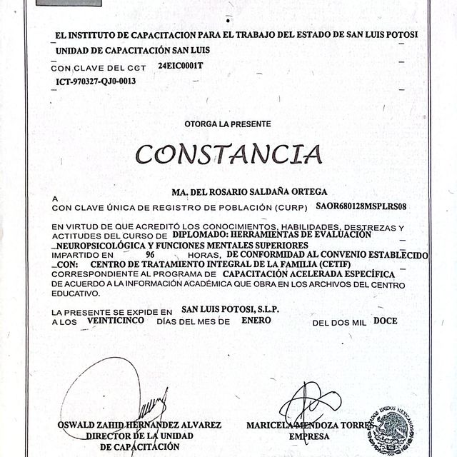 Ampliar imagen: certificate 23