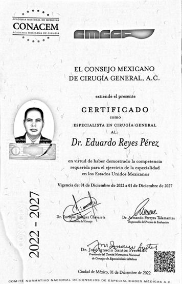 Ampliar imagen: certificate 1