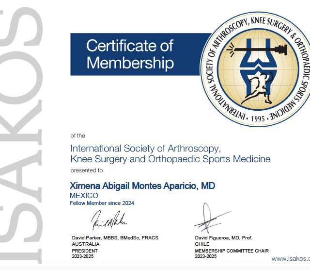 Ampliar imagen: certificate 3