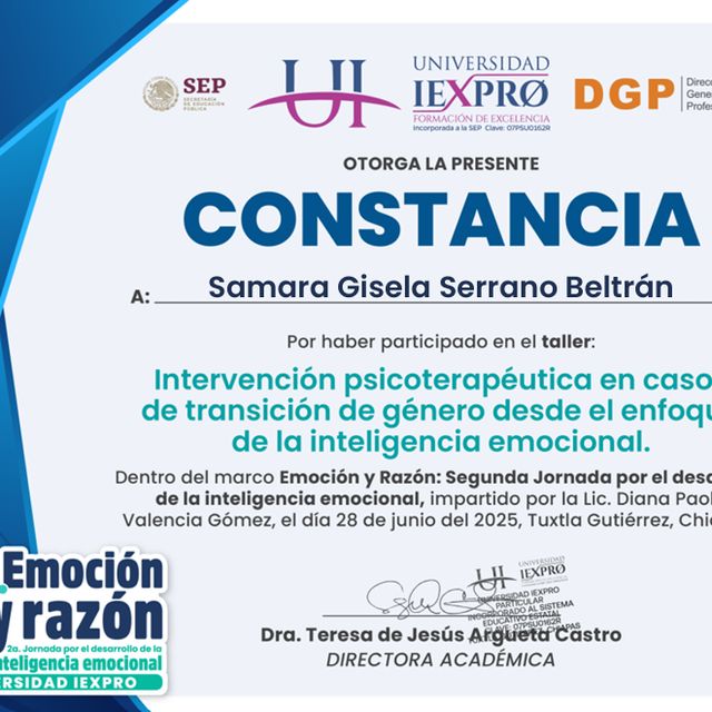 Ampliar imagen: certificate 25